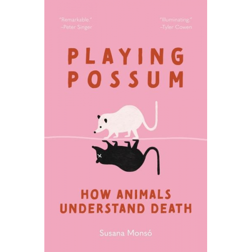 Susana Monsó - Playing Possum