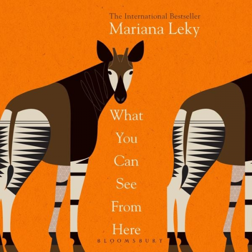 Mariana Leky - What You Can See From Here