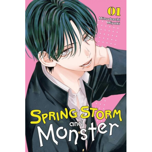 Mitsubachi Miyuki - Spring Storm and Monster, Vol. 1