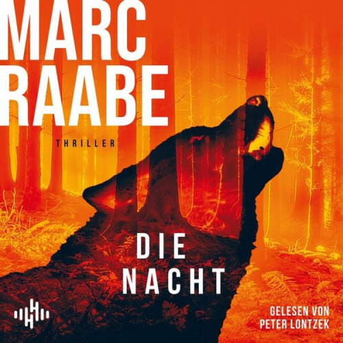 Marc Raabe - Die Nacht (Art Mayer-Serie 3)