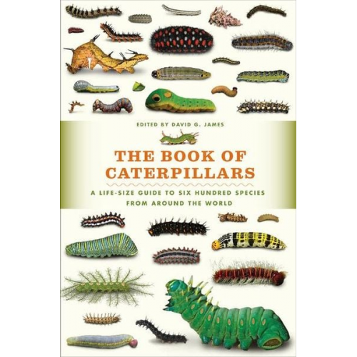 David G. James - The Book of Caterpillars