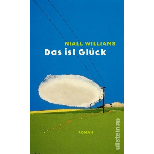 Niall Williams - Das ist Glück