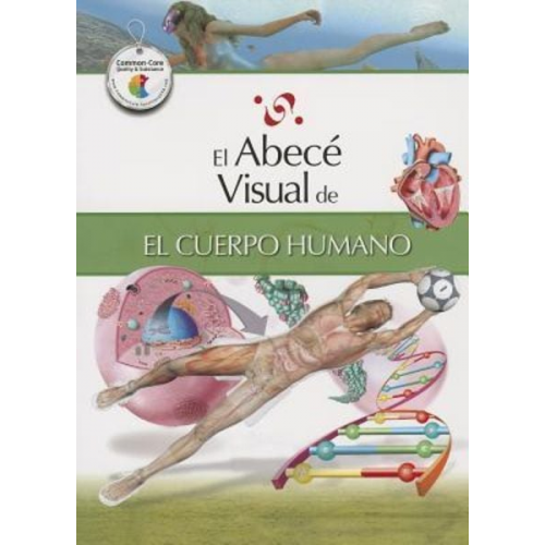 El Abece Visual del Cuerpo Humano