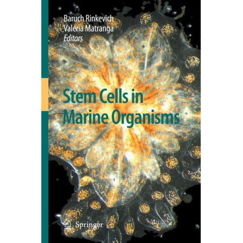 Baruch Rinkevich Valeria Matranga - Stem Cells in Marine Organisms