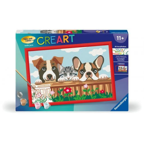 Ravensburger CreArt - Malen nach Zahlen 23855 - Katzen und Hunde - ab 11 Jahren