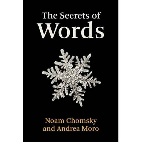 Noam Chomsky Andrea Moro - The Secrets of Words