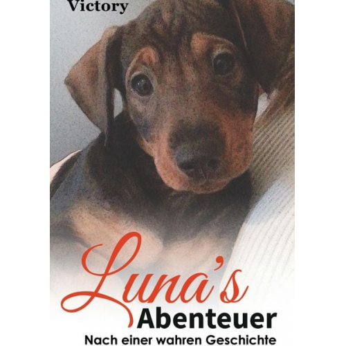 . Victory - Luna´s weite Reise um sein geliebtes Herrchen wieder zu finden