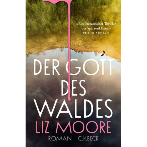 Liz Moore - Der Gott des Waldes