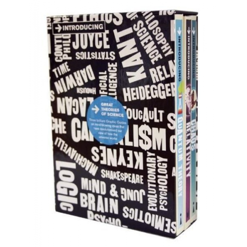 Ziauddin Sardar Bruce Bassett J P McEvoy - Introducing Graphic Guide Box Set - Great Theories of Science