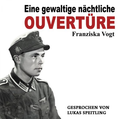 Franziska Vogt - Eine gewaltige nächtliche Ouvertüre