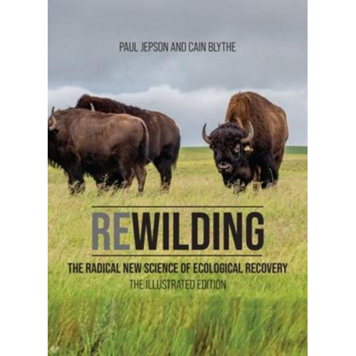 Paul Jepson Cain Blythe - Rewilding: The Radical New Science of Ecological Recovery: The Illustrated Edition