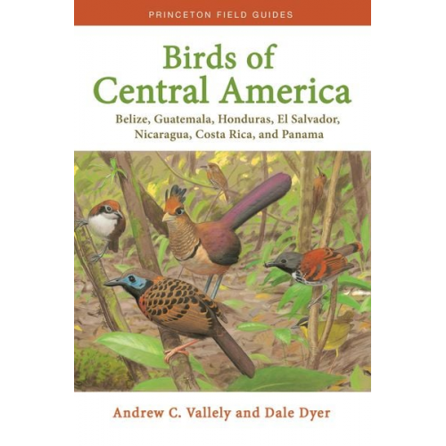 Andrew Vallely Dale Dyer - Birds of Central America