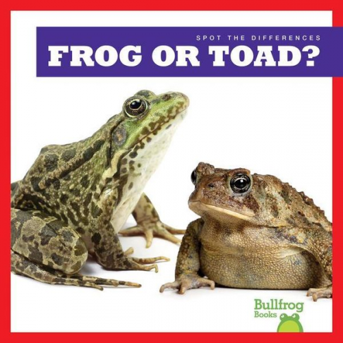 Jamie Rice - Frog or Toad?