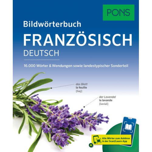 PONS Bildwörterbuch Französisch