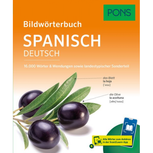 PONS Bildwörterbuch Spanisch