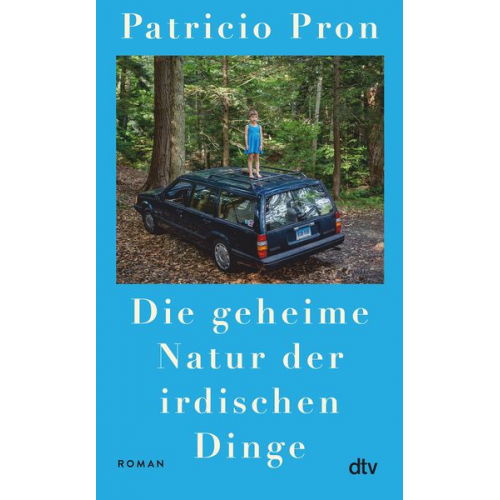 Patricio Pron - Die geheime Natur der irdischen Dinge