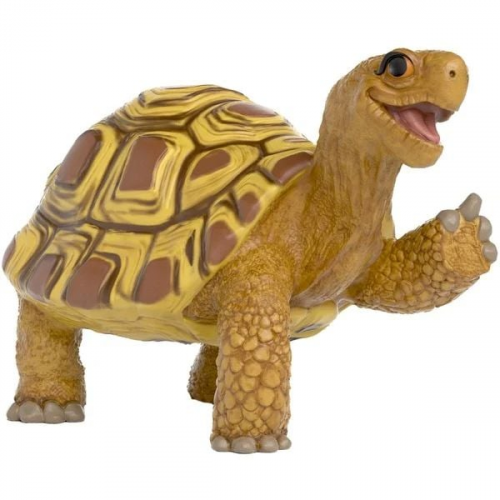 Henrietta die Schildkröte