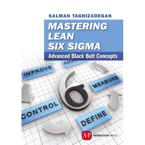 Salman Taghizadegan - Mastering Lean Six Sigma