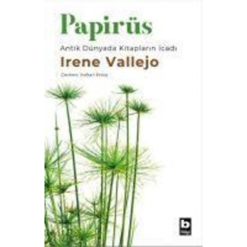 Irene Vallejo - Papirüs Antik Dünyada Kitaplarin Icadi