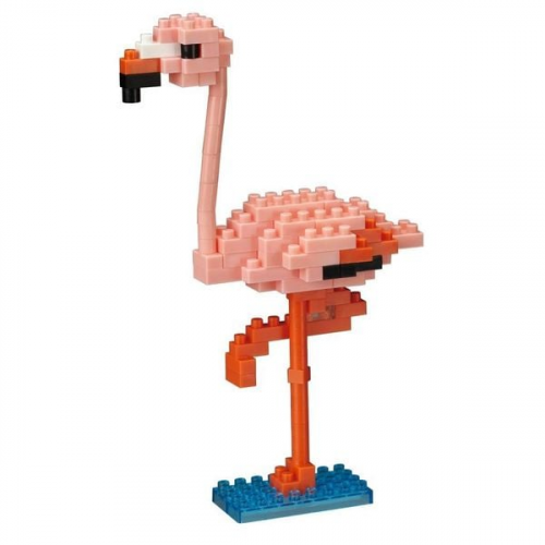 Greater Flamingo 2