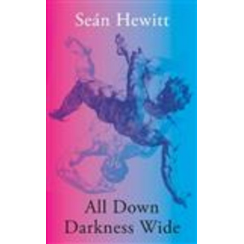 Seán Hewitt - All Down Darkness Wide