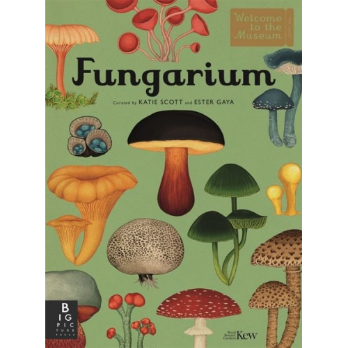 Ester Gaya - Fungarium