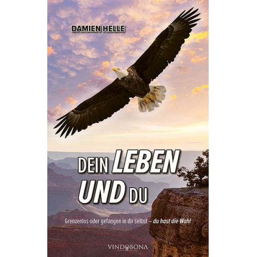 Damien Helle - Dein Leben und du