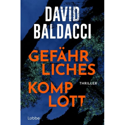 David Baldacci - Gefährliches Komplott