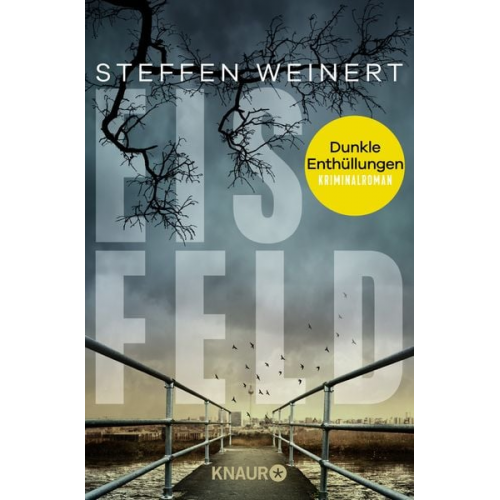 Steffen Weinert - Eisfeld – Dunkle Enthüllungen