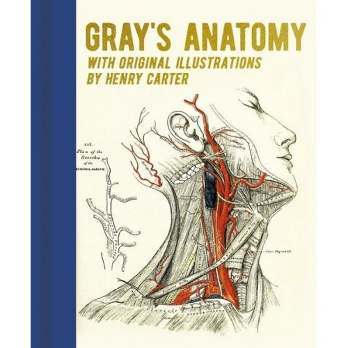 Henry Gray - Gray's Anatomy