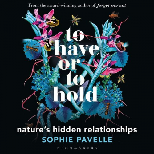 Sophie Pavelle - To Have or To Hold