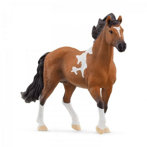 Schleich - Horse Club - Mangalarga Marchador Hengst