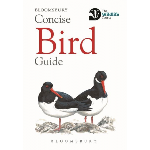 Bloomsbury - Concise Bird Guide