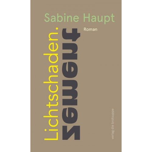 Sabine Haupt - Lichtschaden.Zement