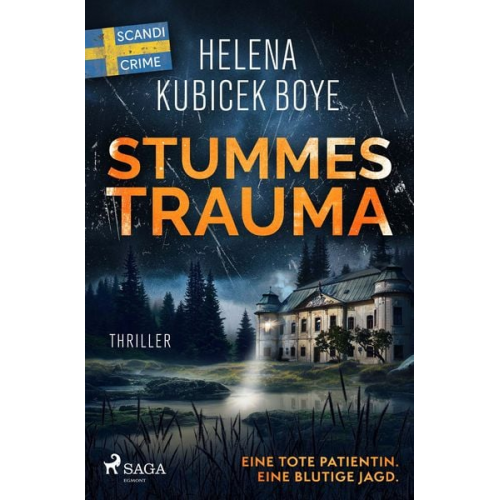 Helena Kubicek-Boye - Stummes Trauma