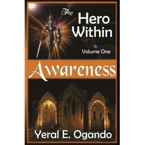 Yeral E. Ogando - Awareness