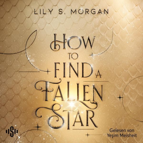 Lily S. Morgan - How To Find A Fallen Star (New York Magics 2)