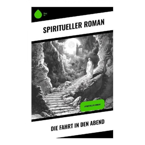 Spiritueller Roman - Die Fahrt in den Abend