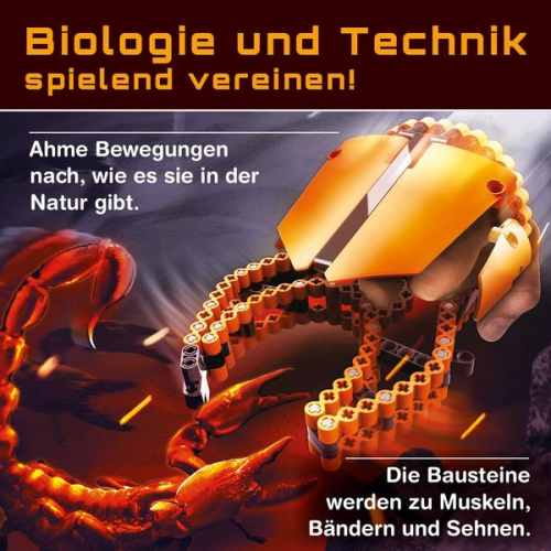 CBionic Baustein-Set Skorpion