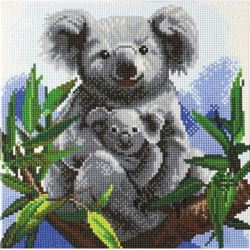 Crystal Art Leinwandbild Koalas 30x30 cm