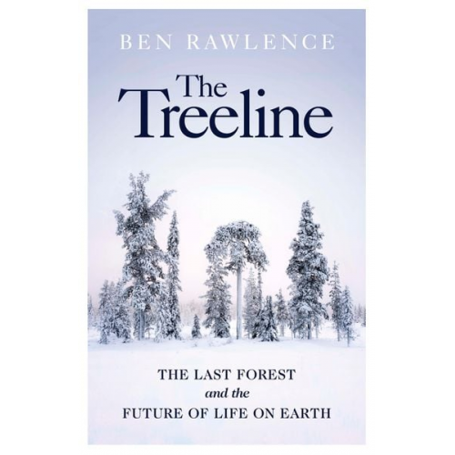 Ben Rawlence - The Treeline