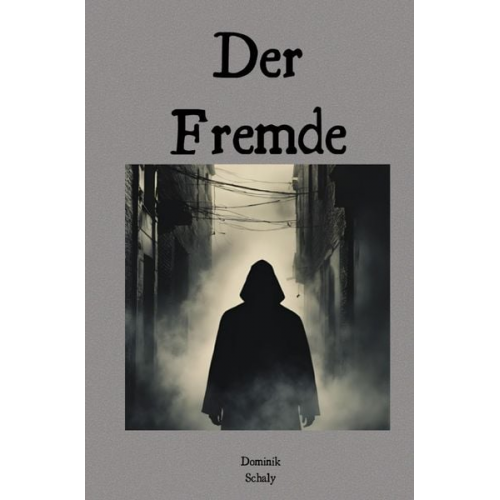 Dominik Schaly - Der Fremde