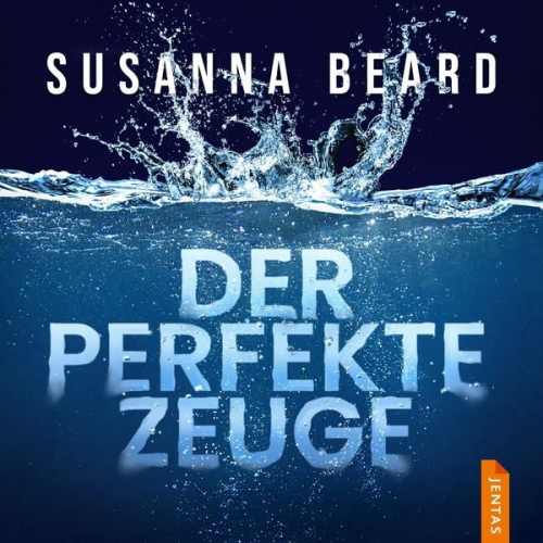 Susanna Beard - Der perfekte Zeuge