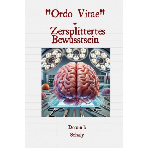 Dominik Schaly - "Ordo Vitae" - Zersplittertes Bewusstsein