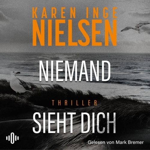 Karen Inge Nielsen - Niemand sieht dich (Grenzland 2)