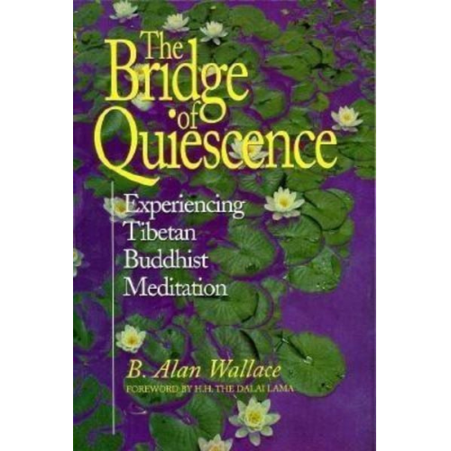 B. Alan Wallace - Bridge of Quiescence: Experiencing Tibetan Buddhist Meditation