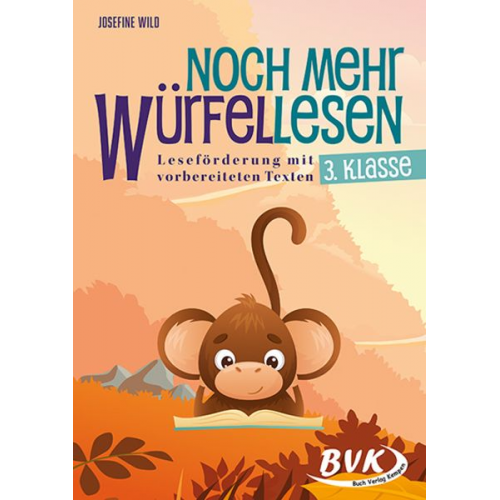 Josefine Wild - Noch mehr Würfellesen 3. Klasse