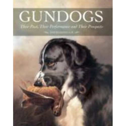 David Hancock - Gundogs