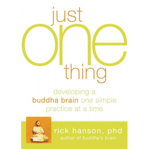 Rick Hanson - Just One Thing