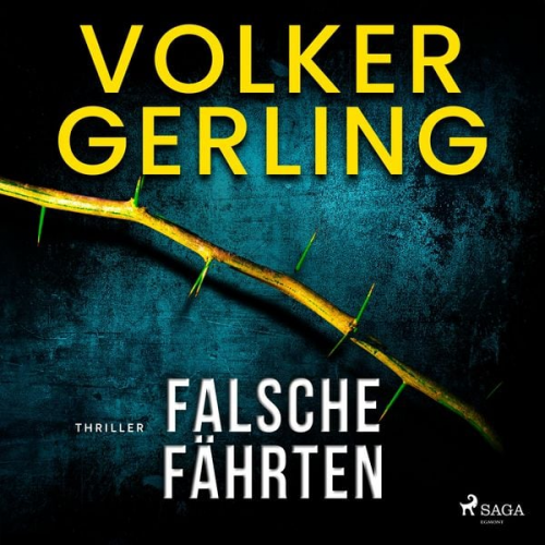 Volker Gerling - Falsche Fährten